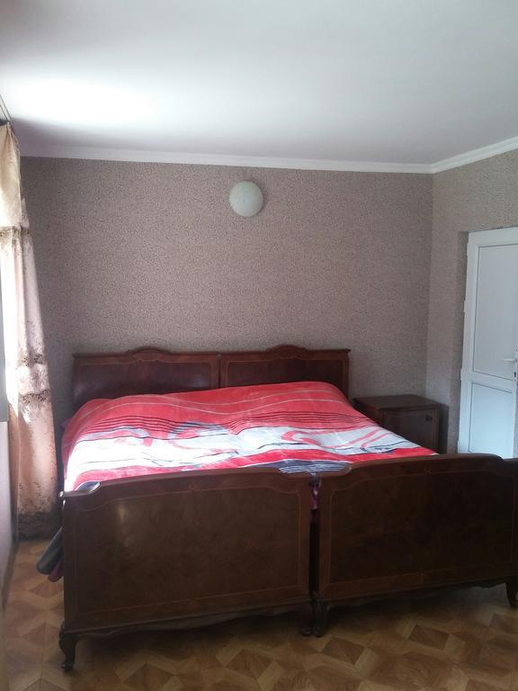 Guest House Adelina Mestia Buitenkant foto