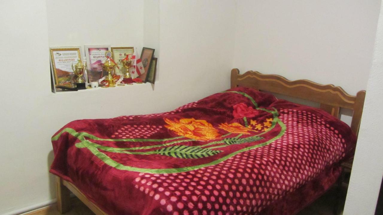 Guest House Adelina Mestia Buitenkant foto